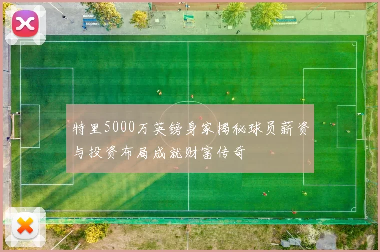 特里5000万英镑身家揭秘球员薪资与投资布局成就财富传奇