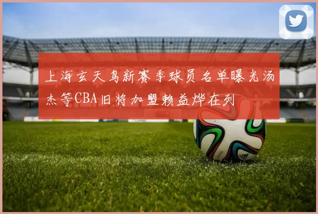 上海玄天鸟新赛季球员名单曝光汤杰等CBA旧将加盟赖益烨在列