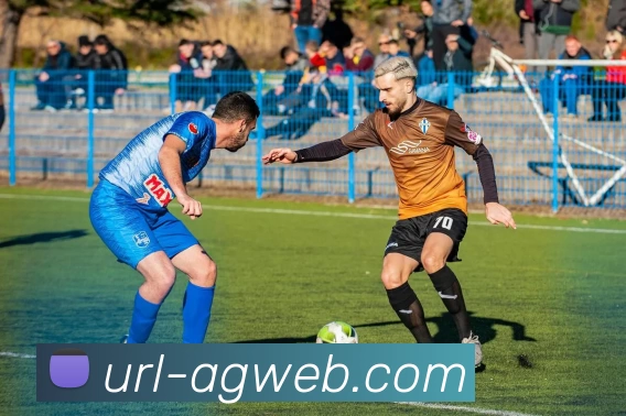 AG娱乐APP 高清赛事图